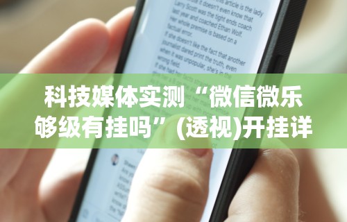 科技媒体实测“微信微乐够级有挂吗”(透视)开挂详细教程