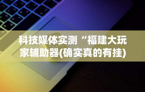 科技媒体实测“福建大玩家辅助器(确实真的有挂)