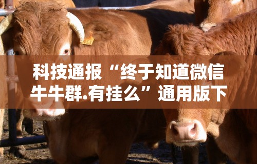 科技通报“终于知道微信牛牛群.有挂么”通用版下载教程！