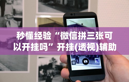 秒懂经验“微信拼三张可以开挂吗”开挂(透视)辅助教程
