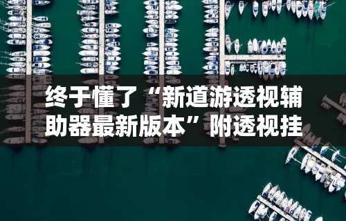 终于懂了“新道游透视辅助器最新版本”附透视挂详细教程