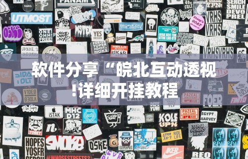 软件分享“皖北互动透视!详细开挂教程