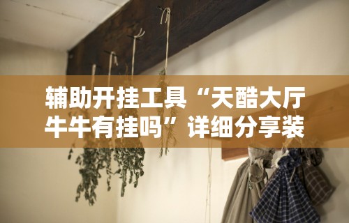辅助开挂工具“天酷大厅牛牛有挂吗”详细分享装挂步骤