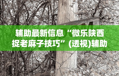 辅助最新信息“微乐陕西捉老麻子技巧”(透视)辅助透视教程