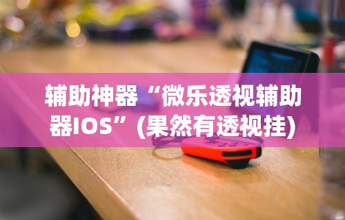 辅助神器“微乐透视辅助器IOS”(果然有透视挂)