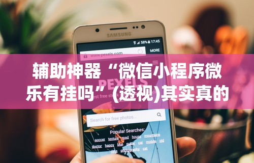 辅助神器“微信小程序微乐有挂吗”(透视)其实真的有挂
