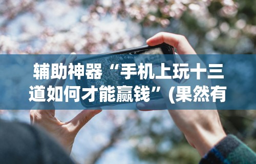 辅助神器“手机上玩十三道如何才能赢钱”(果然有透视挂)