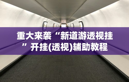 重大来袭“新道游透视挂”开挂(透视)辅助教程