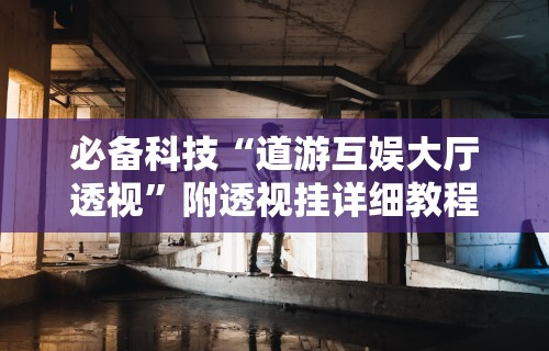 必备科技“道游互娱大厅透视”附透视挂详细教程