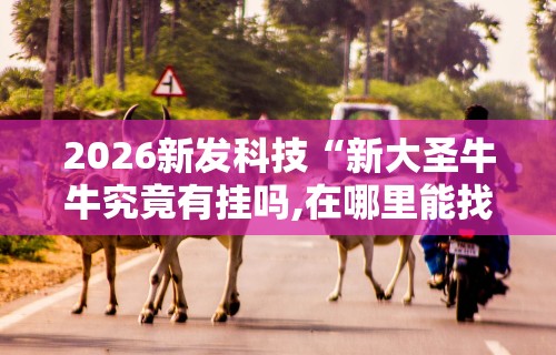 2026新发科技“新大圣牛牛究竟有挂吗,在哪里能找到	”其实确实有挂