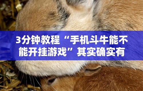 3分钟教程“手机斗牛能不能开挂游戏	”其实确实有挂