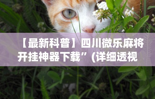 【最新科普】四川微乐麻将开挂神器下载”(详细透视教程)-知乎
