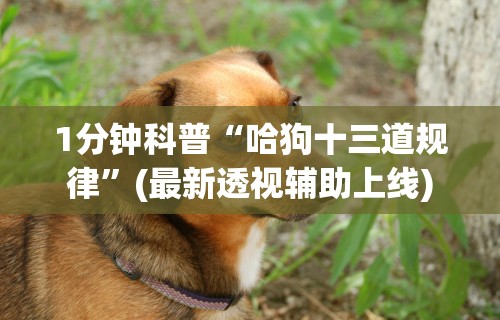 【知道】“迅奇麻将有挂吗”-开挂神器-包教包会