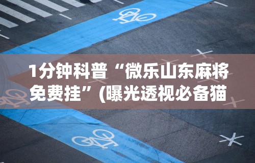 1分钟科普“微乐山东麻将免费挂”(曝光透视必备猫腻)