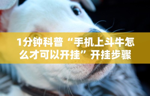 玩家辅助神器：“手机十三水有没有挂”(透视)开挂辅助脚本+详细开挂安装教程