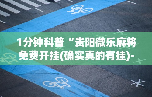 【出现一款新型】“微乐买挂多少钱一天排名接单”详细分享装挂