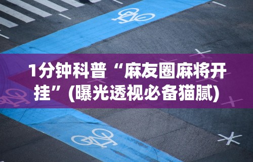 教程解析“闲逸斗地主亲友圈试用挂”(透视)其实确实有挂