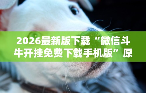 实测辅助“微乐苏州麻将怎么提高胜率	”开挂辅助教程