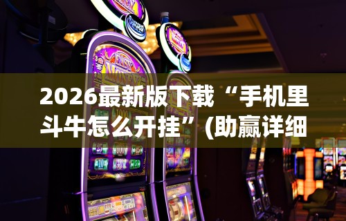 教程辅助“湛江麻将技巧”最新辅助详细教程