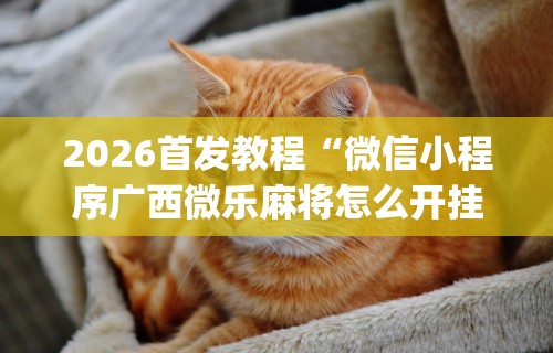 3分钟教程“爱玩联盟是不是有挂[玩家必赢神器]