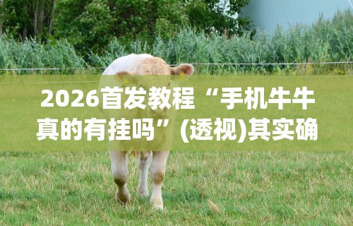 开挂教程“同仁棋牌软件有挂吗？”详细辅助软件教程