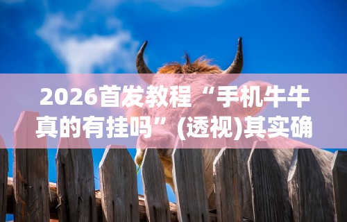 必备教程“四川微乐麻将怎么打手气好”(透视)其实确实有挂