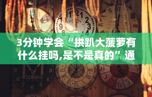 3分钟学会“拱趴大菠萝有什么挂吗,是不是真的”通用版下载教程！