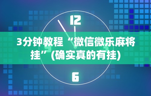 理论分享“闲来玩十三水规律”附透视挂详细教程