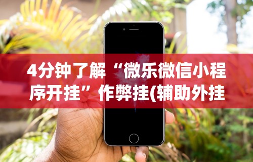2026首发辅助“西兵互娱透视软件一天一结[玩家必赢神器]