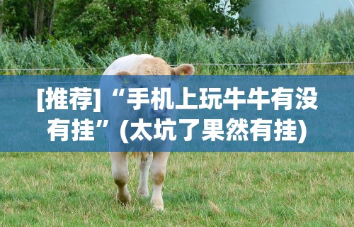 [推荐]“手机上玩牛牛有没有挂”(太坑了果然有挂)