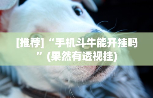 3分钟教程“南昌微乐麻将可以开挂吗(透视)”开挂(透视)辅助教程