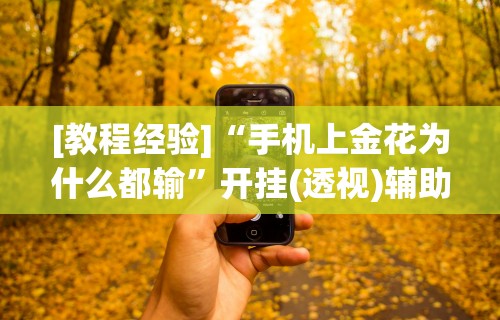 【玩家必备技术】“微乐三人斗地主挂”开挂辅助脚本+详细开挂