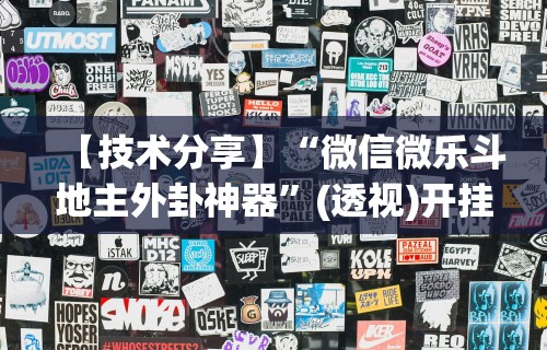 【盘点十款】“乐酷大厅辅助器”详细分享装挂步骤