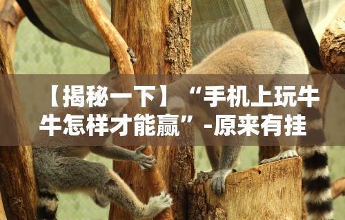 【揭秘一下】“手机上玩牛牛怎样才能赢”-原来有挂