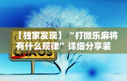 必看教程“微乐填大坑开挂透视软件”开挂(透视)辅助教程