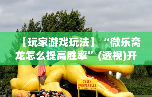 【玩家游戏玩法】“微乐窝龙怎么提高胜率	”(透视)开挂详细教程