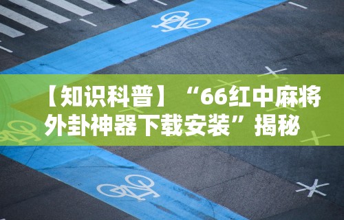 必看教程“陕麻圈捉老麻子技巧”分享辅助外挂教程
