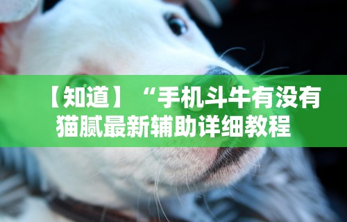 辅助开挂神器“长沙跑得快15张技巧”详细辅助透视