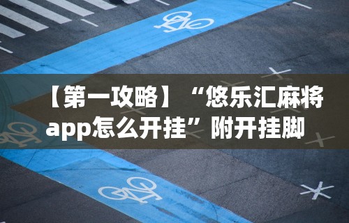 辅助神器“开心联盟挂试用三天免费”(果然有透视挂)