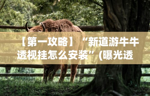 开挂教程“微信微乐捉鸡麻将有没有外卦	”详细分享装挂步骤