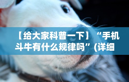 最新教你“闽游十三水怎么刷好牌”开挂辅助脚本+详细开挂