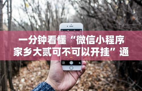 [实测]“新蜜瓜大厅怎样才能赢”附开挂脚本详细教程