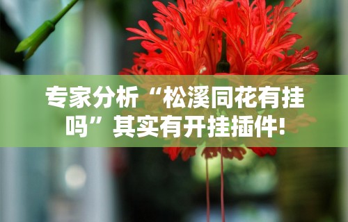 最新一款“喜乐填大坑挂	”详细分享装挂步骤教程