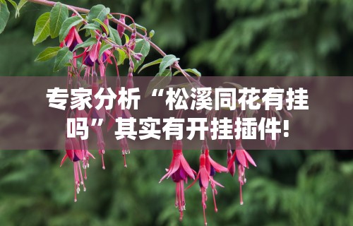 玩家必看教程“达达乐游有挂吗	”开挂辅助软件教程