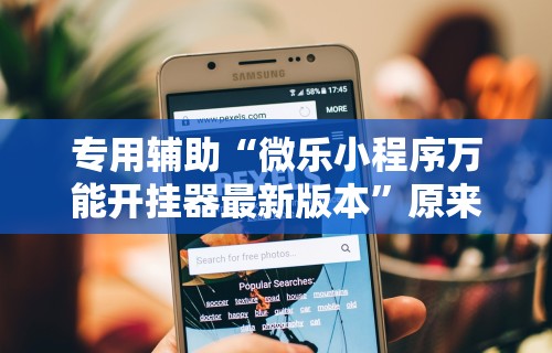 专用辅助“微乐小程序万能开挂器最新版本”原来有神器下载!