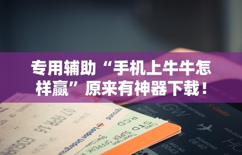 辅助开挂神器“广西棋牌十三张一直输”详细开挂玩法