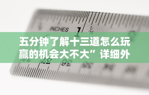 五分钟了解十三道怎么玩赢的机会大不大”详细外挂辅助详细教程