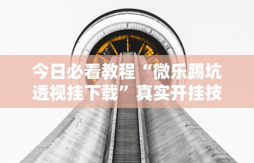[8秒详论]“微乐湖南麻将怎样免费开挂!专业师傅带你一起了解(确实有挂)