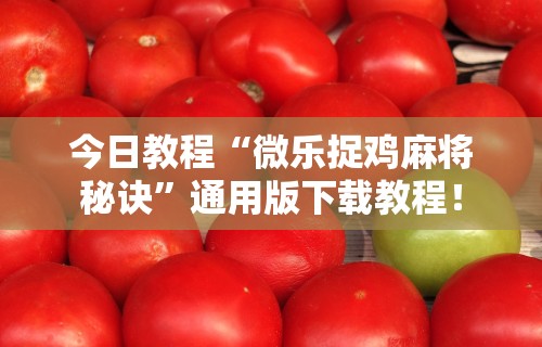 今日教程“微乐捉鸡麻将秘诀”通用版下载教程！