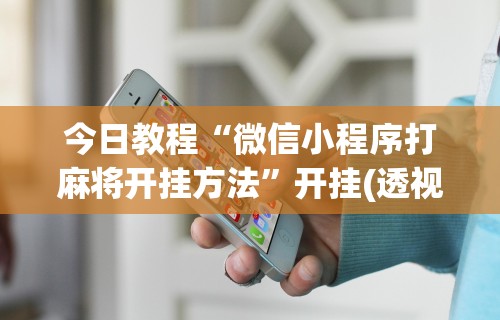 内幕揭晓“手机金花软挂神器”开挂神器{透视辅助}全揭秘